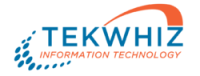 Tekwhiz logo-01